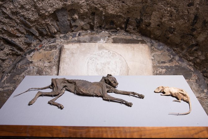 Dublin Christ Church Cathedral Admission Ticket - Common Questions