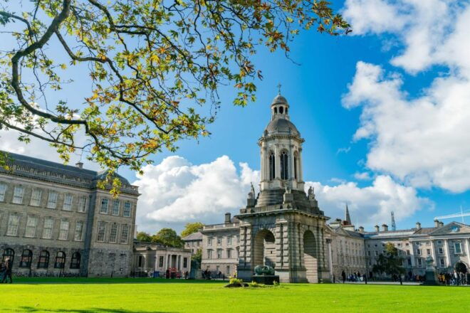 Dublin City Walking Tour, Vikings, St. Partick, Highlights - Full Description