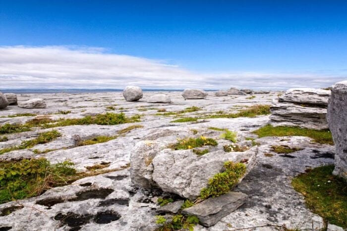 Dublin: Cliffs of Moher, Atlantic Edge & Galway City - Who Will Love This Experience?