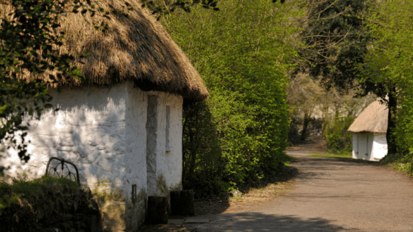 Dublin: Cliffs of Moher, Ennis, & Bunratty Castle Day Tour - Customer Feedback