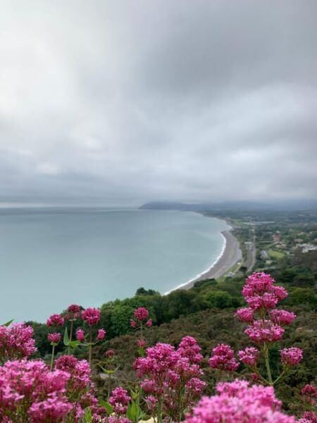 Dublin Coast & Wicklow Mountains: Luxury Private Day Tour - Frequently Asked Questions