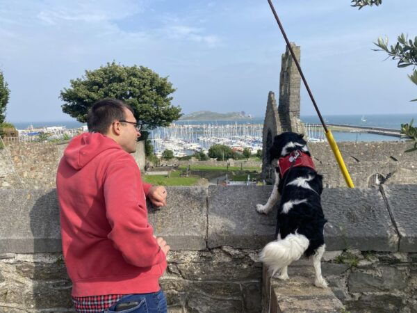 Dublin: Coastal Hike and Pints & Puppies - The Sum Up