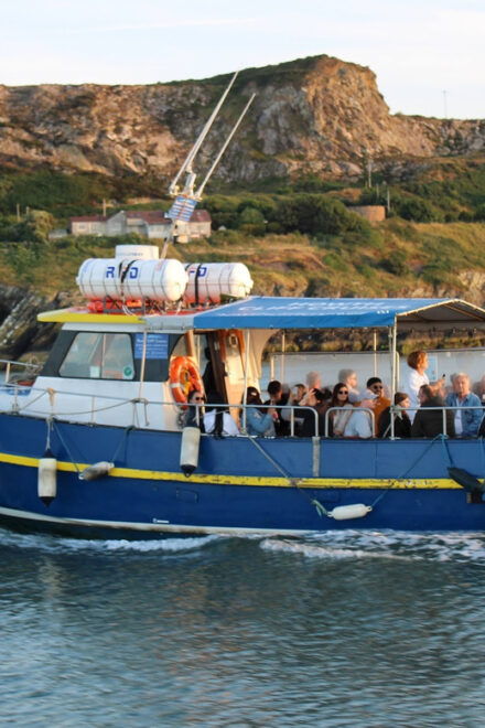 Dublin: Dublin Bay, Howth Coast and Irelands Eye Boat Tour - Departure and Cruise Experience