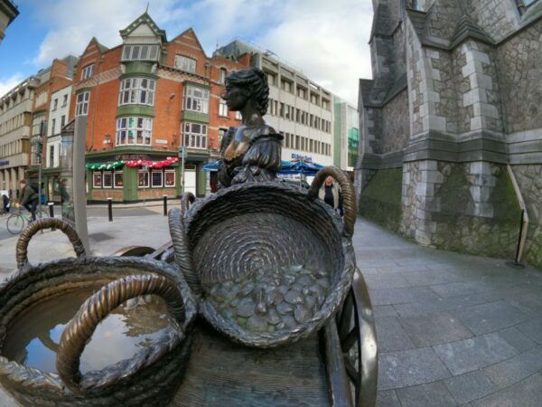 Dublin: Dublin City Highlights Private Guided Walking Tour - Cancellation and Refund Policy