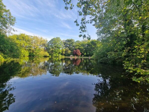 Dublin: Dublin City Highlights Private Guided Walking Tour - Common Questions