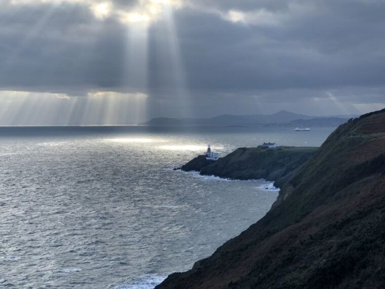 Dublin: Dublin Coastal Hike and Pints & Puppies - Who Is This Tour Best For?