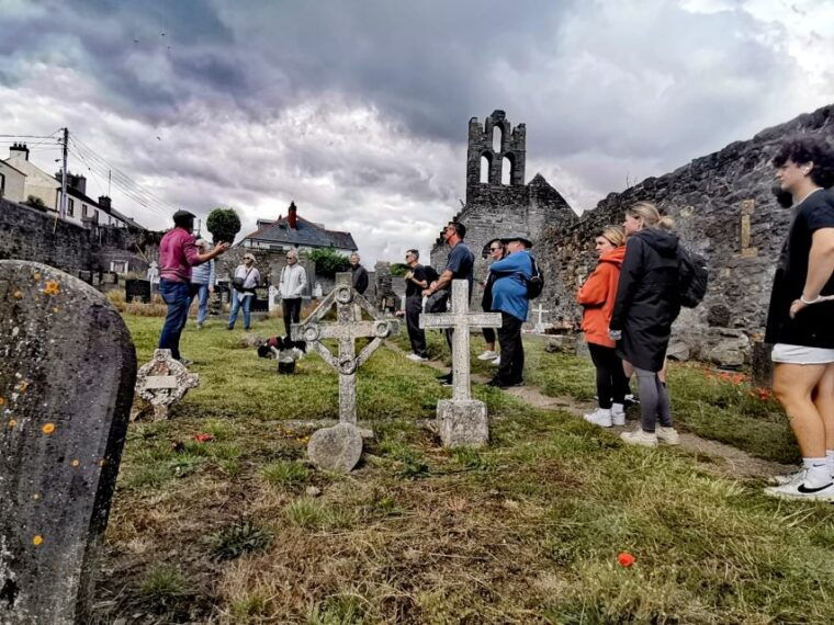 Dublin: Dublin Coastal Hike and Pints & Puppies - The Sum Up