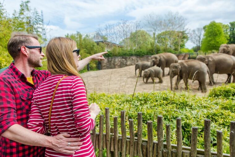 Dublin Explorer Pass: Save up to 50% on 3 to 7 Attractions - Value for Money and Overall Impressions  