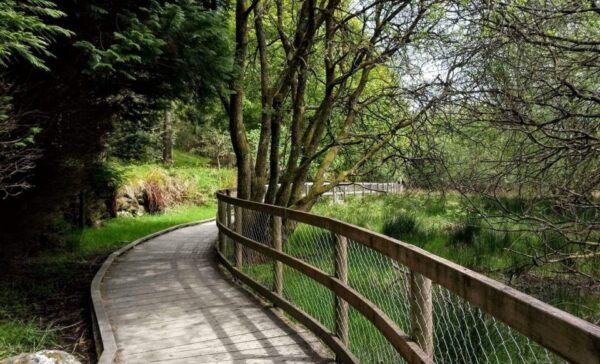 Dublin: Full-Day Wicklow Mountains Tour W/ Glendalough Visit - Common Questions