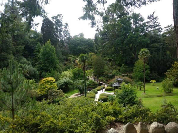 Dublin: Full-Day Wicklow Mountains Tour W/ Glendalough Visit - The Sum Up