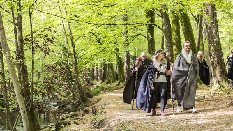 Dublin Game of Thrones Full-Day Tour with Castle Ward - Guide stories are the tour’s strongest extra
