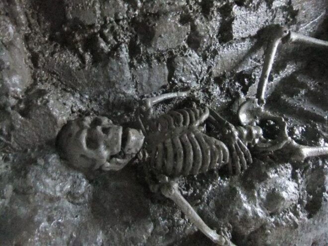 Dublin Gravedigger 2-Hour Ghost Bus Tour - Common Questions