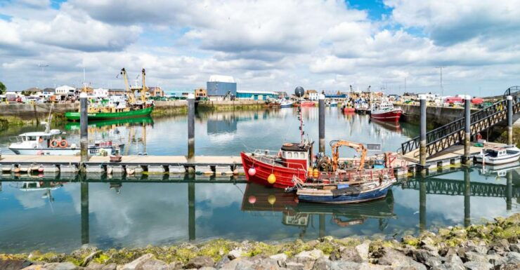 Dublin Great Famine Tour With Fast-Track EPIC Museum Tickets - Experience Highlights