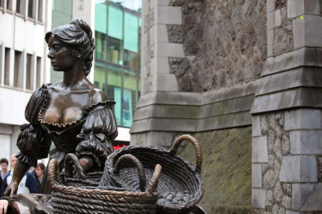 Dublin: Half-Day Private Walking Tour - Additional Information