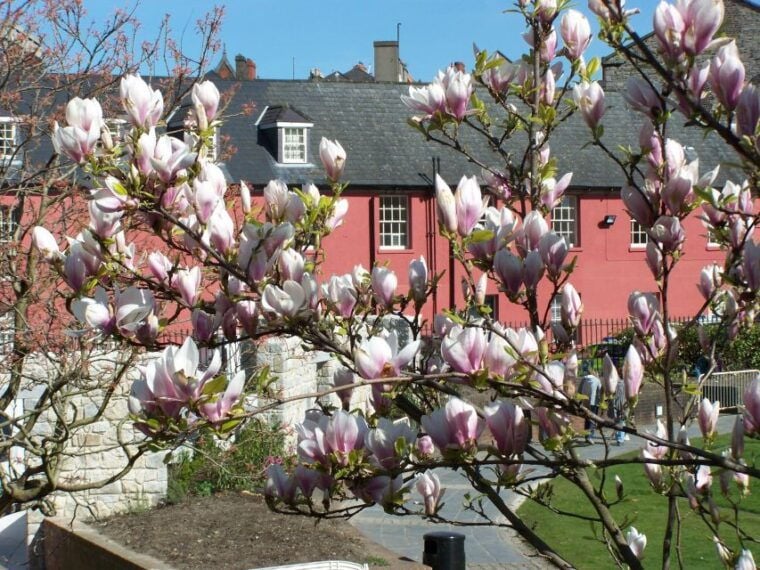 Dublin: Highlights and Hidden Corners Walking Tour - FAQ