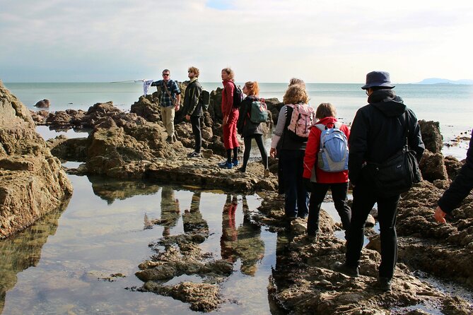 Dublin Hiking Tour With Howth Adventures - Overview and Tour Details