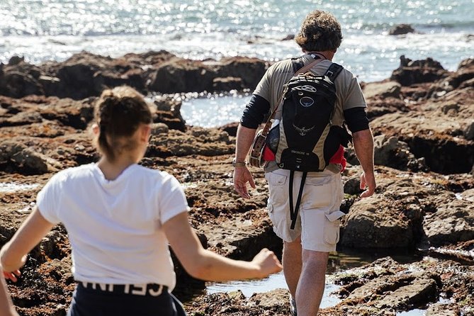 Dublin Hiking Tour With Howth Adventures - Recommendations