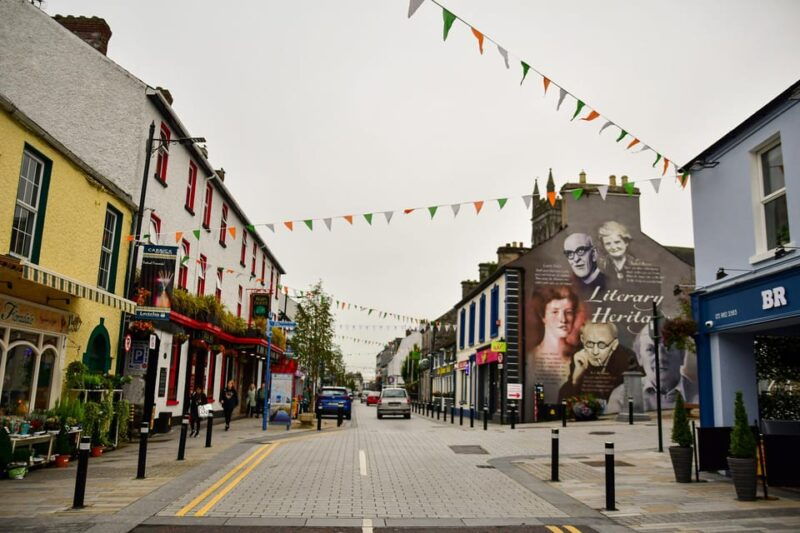 Dublin: Historical and Cultural Historical Walking Tour - Practical Details and Why They Matter