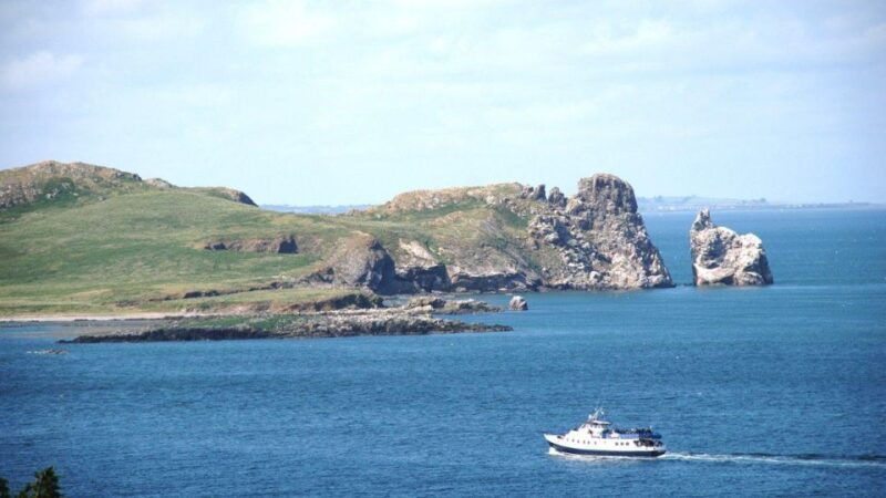 Dublin: Howth Cliffs and Ireland's Eye Boat Cruise - Practical Tips for Travelers