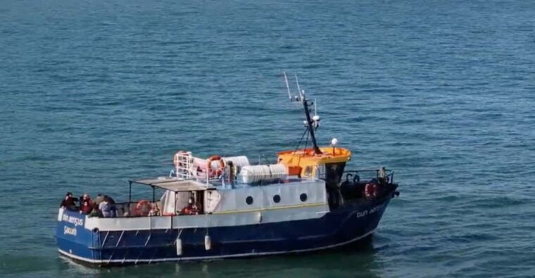 Dublin: Howth Cliffs and Lighthouse Boat Tour - Who Will Love This Tour?