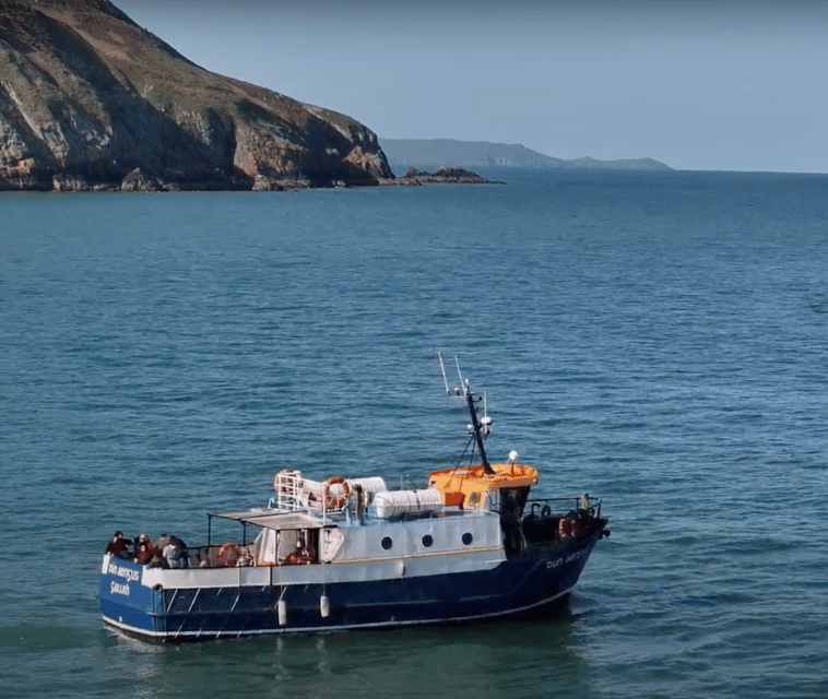 Dublin: Howth Cliffs and Lighthouse Boat Tour - Final Thoughts
