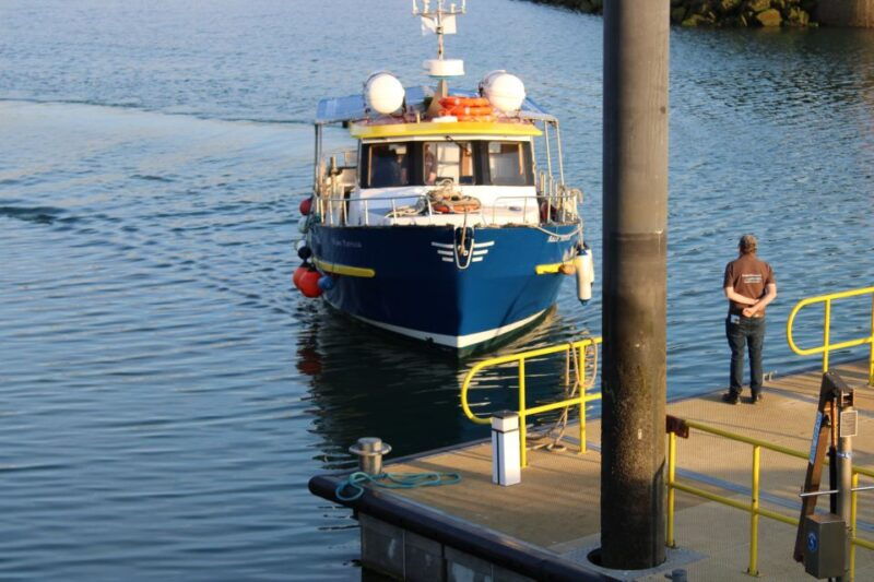 Dublin: Howth Cliffs and Lighthouse Cruise - Good To Know