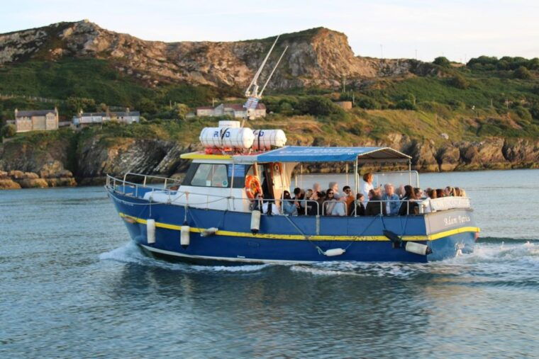 Dublin: Howth Cliffs and Lighthouse Cruise - Authentic Experiences from Reviews