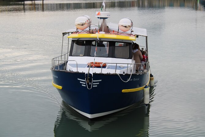 Dublin Howth Cliffs Sightseeing Cruise - End Point and Cancellation Policy