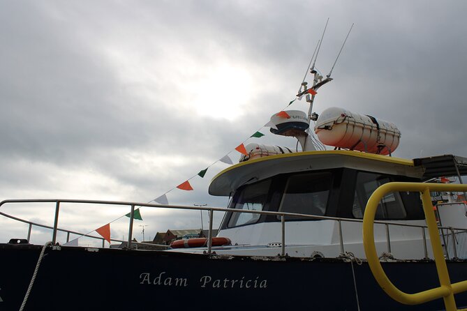 Dublin Howth Cliffs Sightseeing Cruise - Traveler Photos and Reviews