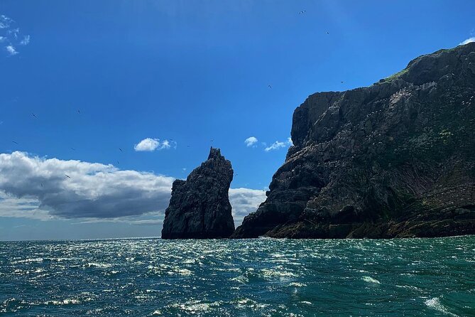 Dublin Howth Cliffs Sightseeing Cruise - Negative Customer Review
