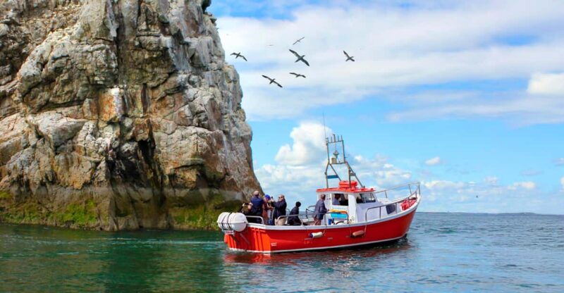 Dublin: Howth Coastal Boat Tour - Exploring the Itinerary and What to Expect