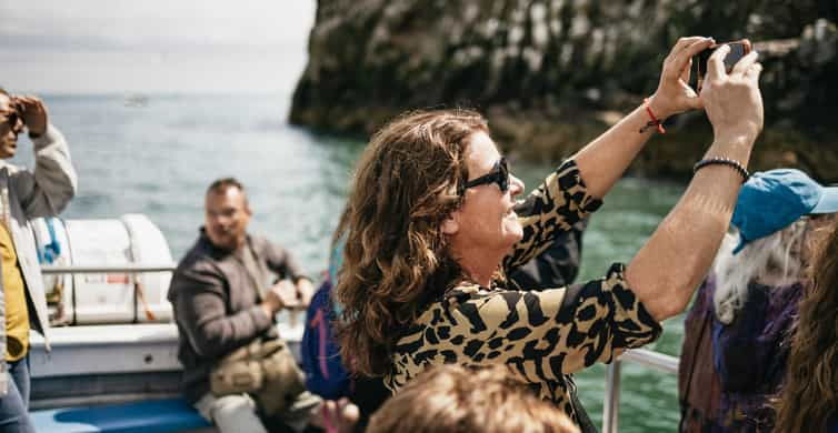 Dublin: Howth Coastal Boat Tour - The Experience and Value