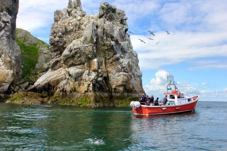Dublin: Howth Coastal Boat Tour With Ireland's Eye Ferries - Activity Details