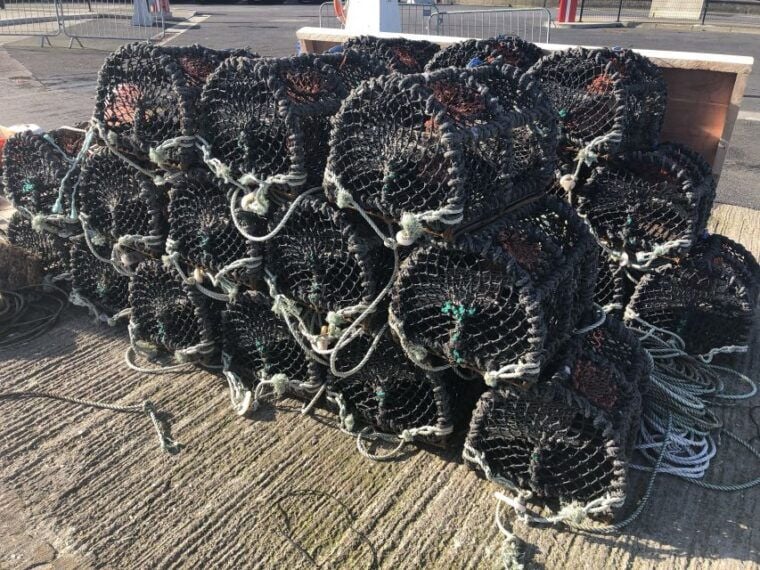 Dublin: Howth Coastal Craft Beer and Seafood Tour - Practical Tips for Your Visit