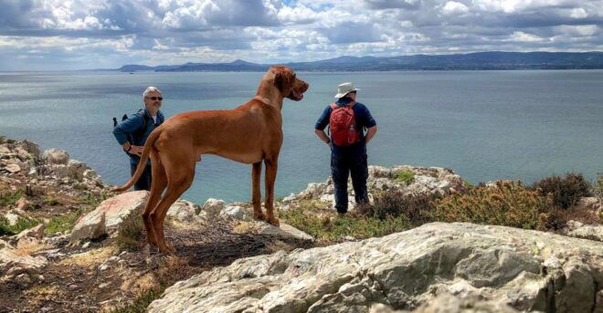 Dublin: Howth Highlights Hiking Tour - Full Description