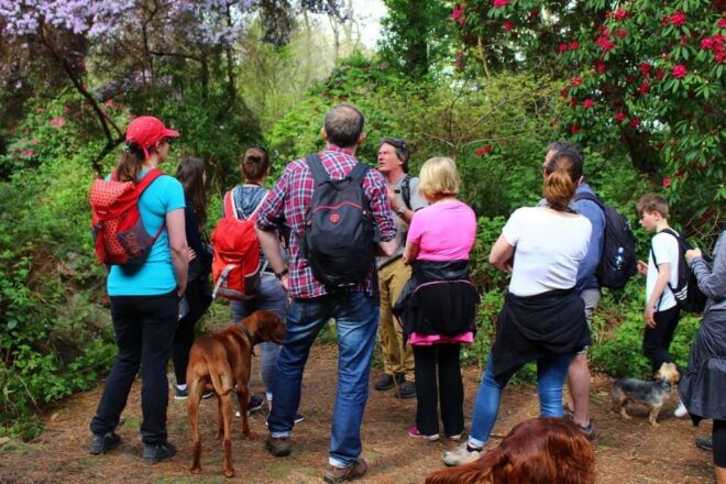 Dublin: Howth Highlights Hiking Tour - Participant and Date Information
