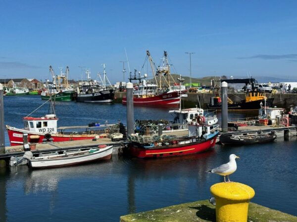 Dublin: Howth Highlights Hiking Tour - Directions