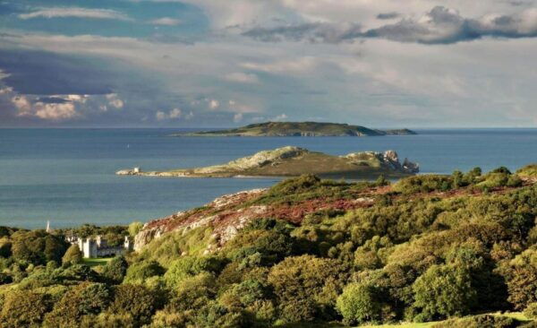 Dublin: Howth Highlights Hiking Tour - Common Questions