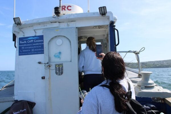 Dublin: Howth Lighthouse and Cliffs Boat Tour - Customer Reviews and Ratings