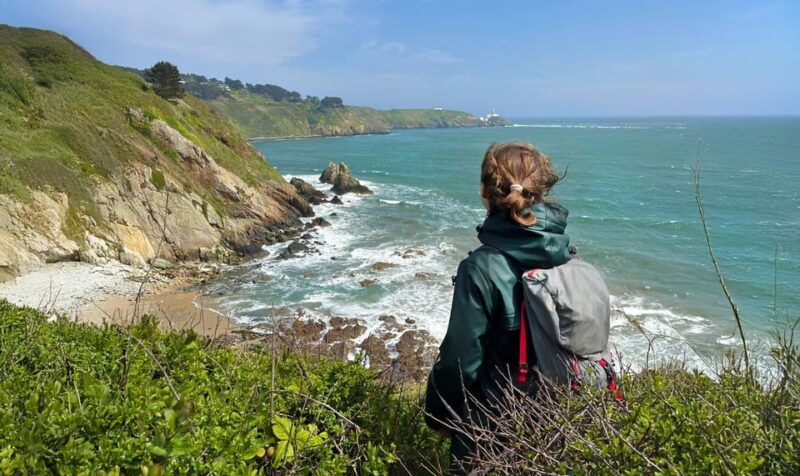 Dublin: Howth Safari Hiking Tour - Introduction