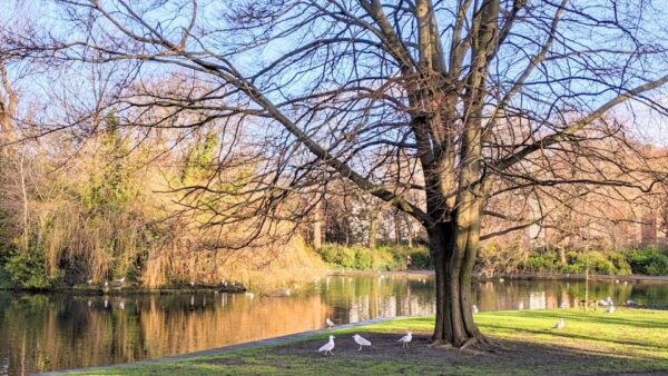 Dublin: Irish History in St Stephens Green Self-Guided Walk - The Sum Up