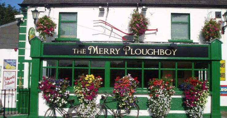 Dublin: Irish Night Show at the Merry Ploughboy Pub - Dining Experience