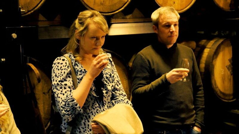 Dublin: Jameson and Guinness Private Tour with Transfers - Good To Know