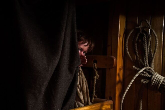 Dublin: Jeanie Johnston Tall Ship Irish Famine History Tour - Guide Rating