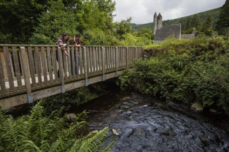 Dublin: Kilkenny, Wicklow, & Glendalough With Sheepdog Show - Activity Details