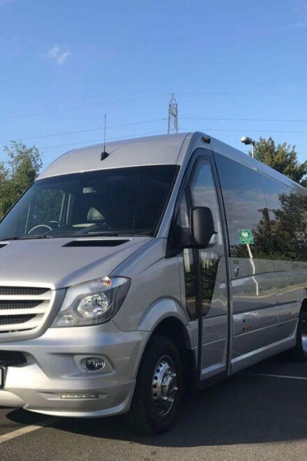 Dublin: Luxury Ground Transfer Service - Accessibility and Requirements