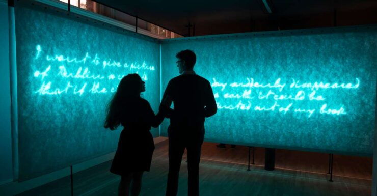 Dublin: Museum of Literature Ireland (MoLI) All Day Pass - Experience