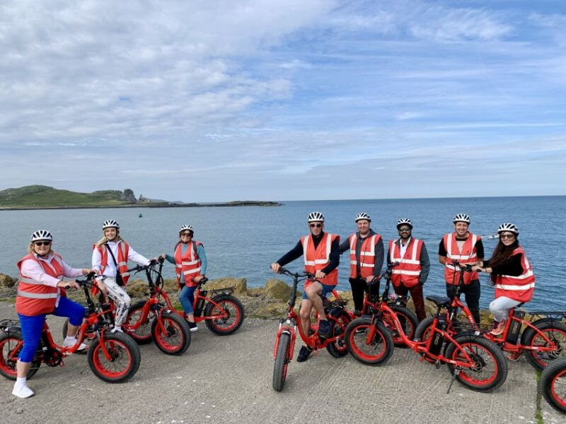 Dublin: Panoramic e-Bike Tour - Who Is This Tour Perfect For?
