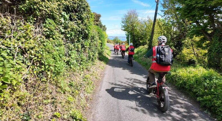 Dublin: Panoramic e-Bike Tour - Practical Information & Tips