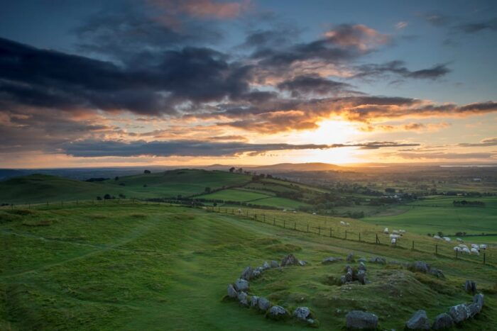 Dublin: Private Boyne Valley and Trim Castle Day Tour - Who Will Love This Tour?
